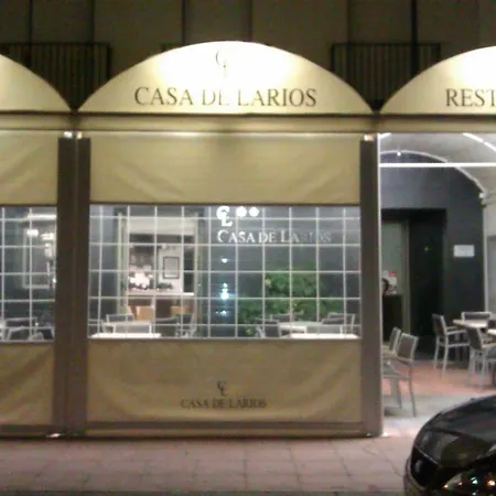 Guest house Casa De Larios 2*